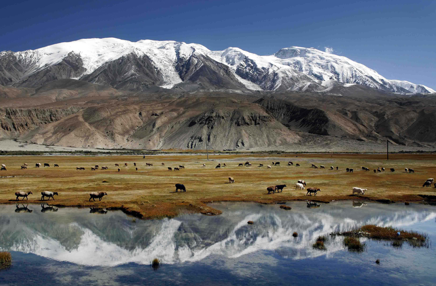 倍頭條 | 拍得銅礦，格局打開(kāi)！倍杰特業(yè)務(wù)新布局